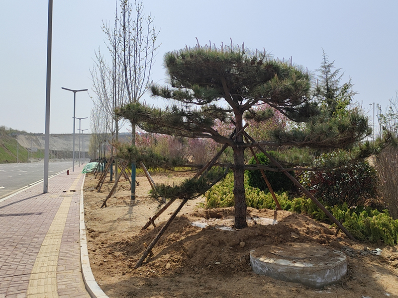 国产福利一区二区三区在线视频